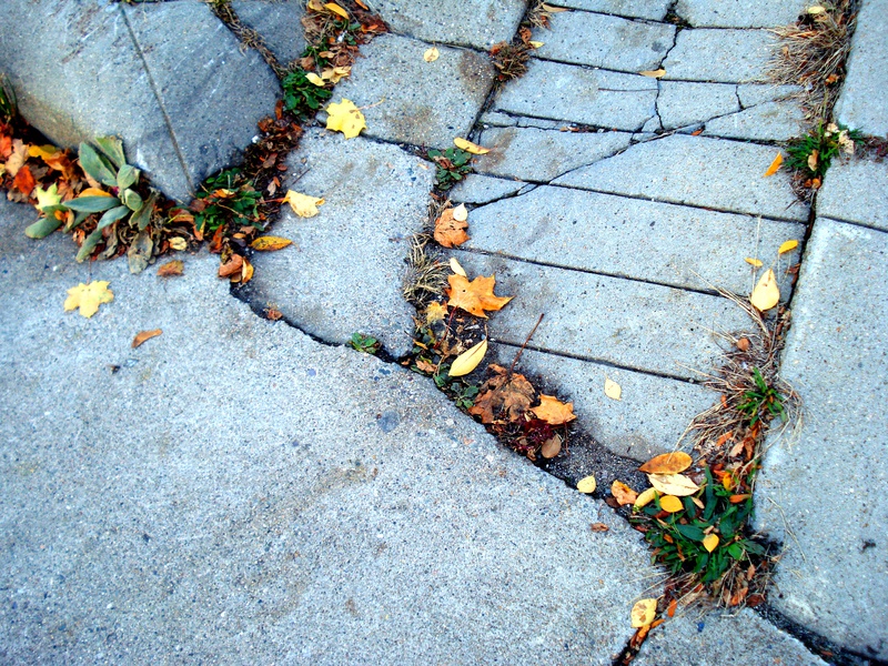 Cracked-Sidewalks.jpg